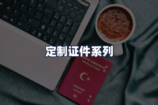 定制证件系列